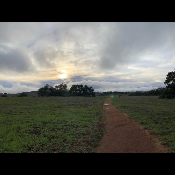 Meet your Posher, Aaron - Picture 1 of 1